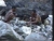 Langda : L' herminette de pierre polie en Nouvelle Guinee