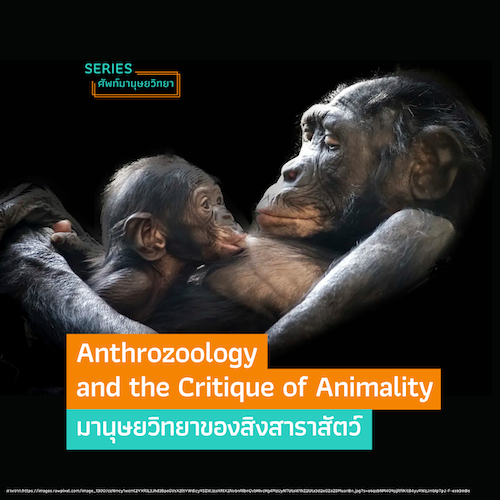 รูปภาพของ มานุษยวิทยาของสิงสาราสัตว์ Anthrozoology and the Critique of Animality