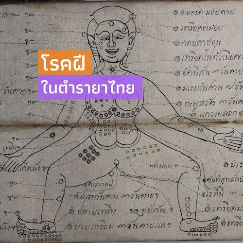 รูปภาพของ โรคฝีในตำรายาไทย
