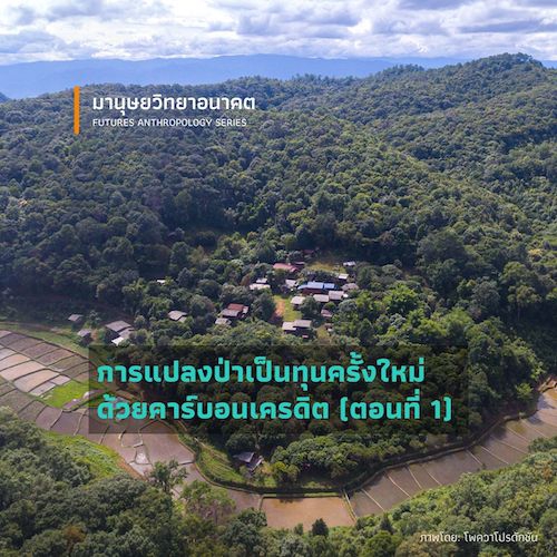 รูปภาพของ การแปลงป่าเป็นทุนครั้งใหม่ด้วยคาร์บอนเครดิต  (ตอนที่ 1)
