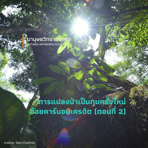 รูปภาพของ การแปลงป่าเป็นทุนครั้งใหม่ด้วยคาร์บอนเครดิต  (ตอนที่ 2)