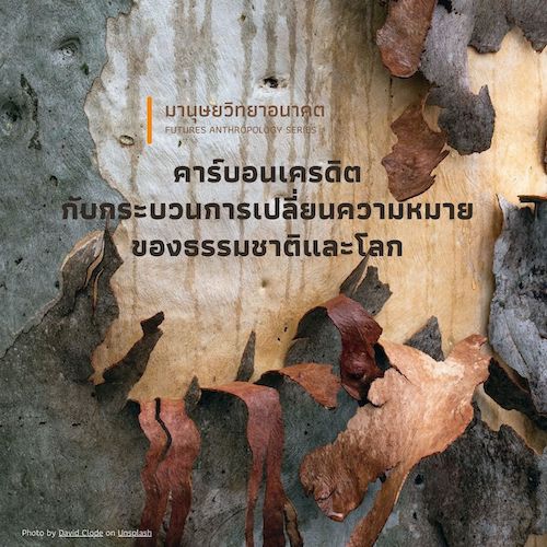 รูปภาพของ คาร์บอนเครดิต กับกระบวนการเปลี่ยนความหมายของธรรมชาติและโลก
