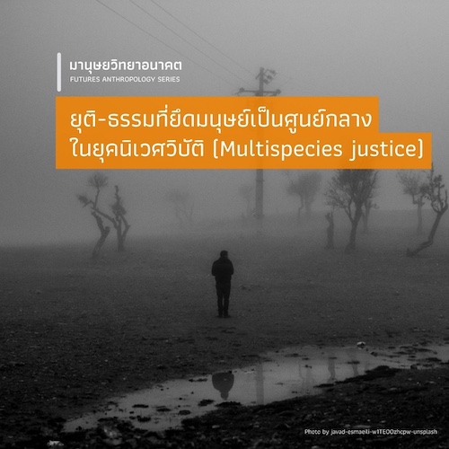 ยุติ-ธรรมที่ยึดมนุษย์เป็นศูนย์กลางในยุคนิเวศวิบัติ (Multispecies justice)