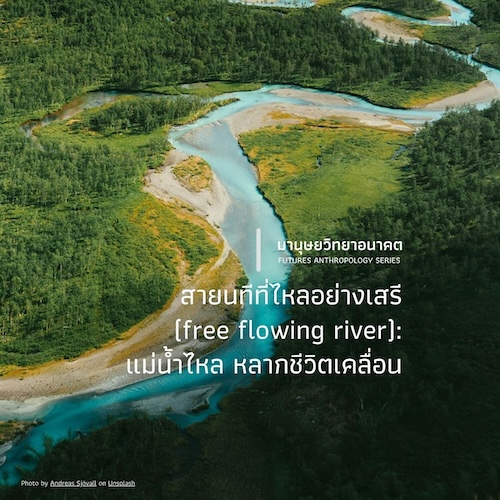สายนทีที่ไหลอย่างเสรี (free flowing river):  แม่น้ำไหล หลากชีวิตเคลื่อน