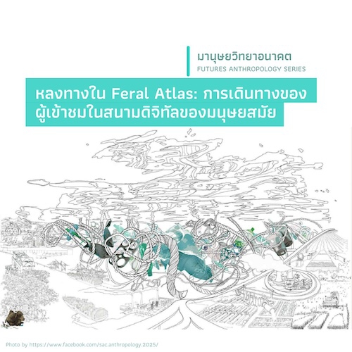 หลงทางใน Feral Atlas: การเดินทางของผู้เข้าชมในสนามดิจิทัล ของมนุษยสมัย