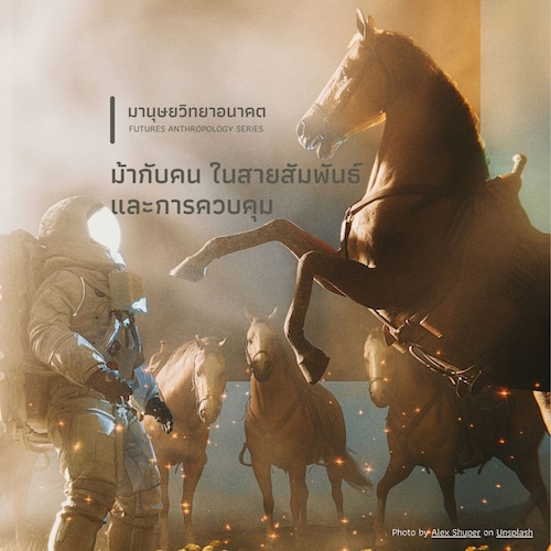 รูปภาพของ ม้ากับคน ในสายสัมพันธ์และการควบคุม