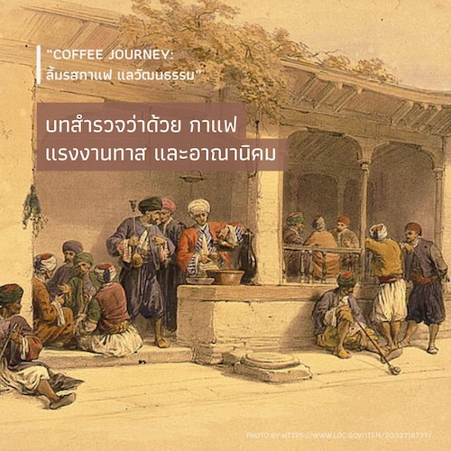 บทสำรวจว่าด้วย กาแฟ แรงงานทาส และอาณานิคม