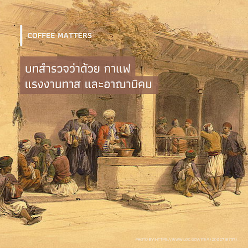 บทสำรวจว่าด้วย กาแฟ แรงงานทาส และอาณานิคม
