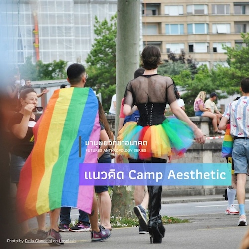 แนวคิด Camp Aesthetic