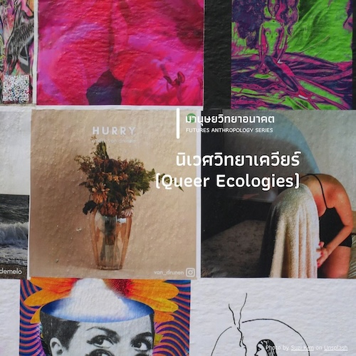 นิเวศวิทยาเควียร์ (Queer Ecologies)
